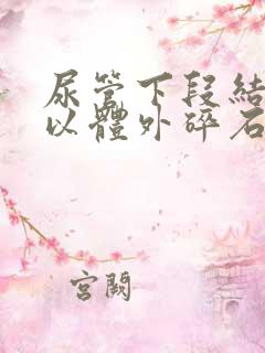 尿管下段结石可以体外碎石吗