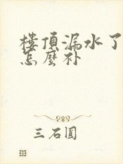 楼顶漏水了自己怎么补