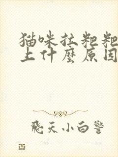 猫咪拉粑粑不盖上什么原因