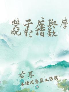 双子座与摩羯座配对指数