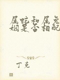 属蛇和属兔的婚姻是否相配