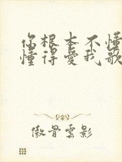 你根本不懂得不懂得爱我歌词