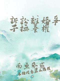 诉讼离婚争夺孩子抚养权