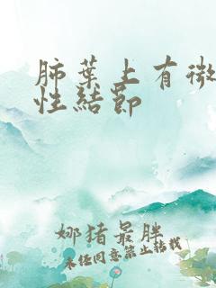 肺叶上有微小实性结节