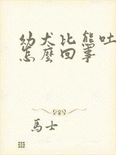 幼犬比熊吐清水怎么回事