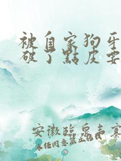 被自家狗牙齿划破了点皮要紧吗