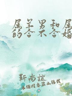 属羊男和属牛女的合不合婚