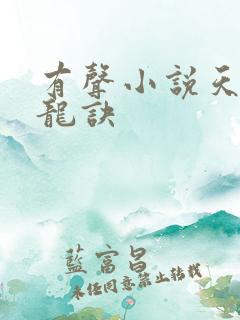 有声小说天师寻龙诀