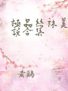 极品丝袜美女小说合集