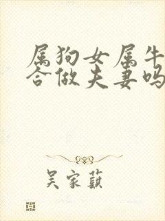 属狗女属牛男适合做夫妻吗