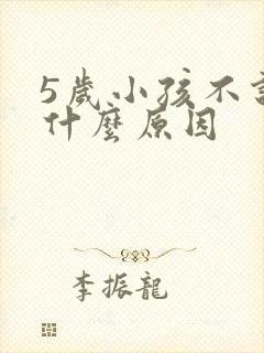 5岁小孩不说话什么原因