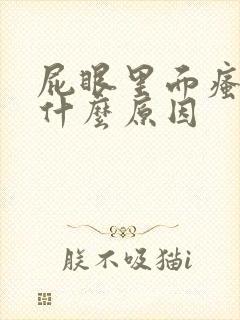 屁眼里面瘙痒是什么原因