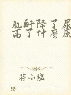 肌酐降了尿蛋白高了什么原因?