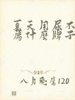 夏天用尿不湿推荐什么牌子