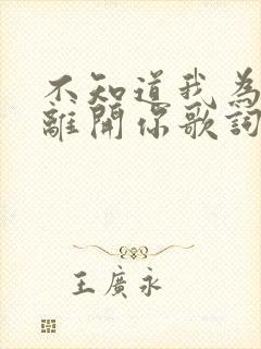 不知道我为什么离开你歌词是什么意思