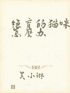 绝育的猫咪乱尿怎么办