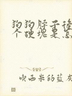 狗狗脖子后面有个硬块是怎么回事啊