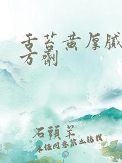 舌苔黄厚腻中药方剂