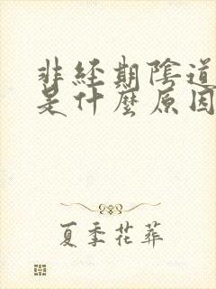 非经期阴道流血是什么原因