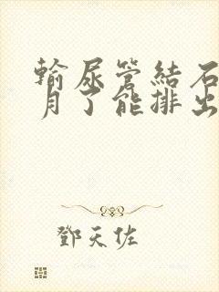 输尿管结石两个月了能排出吗