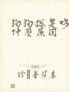 狗狗总是哆嗦是什么原因