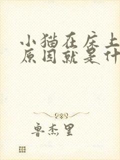 小猫在床上尿的原因就是什么