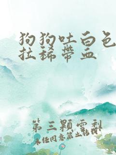 狗狗吐白色粘液拉稀带血