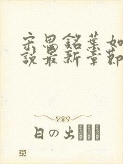 宋思铭叶如云小说最新章节