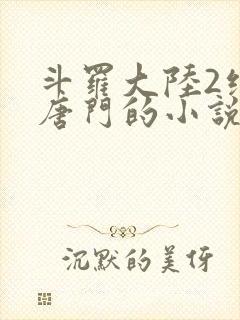 斗罗大陆2绝世唐门的小说