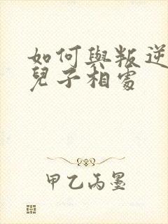 如何与叛逆期的儿子相处