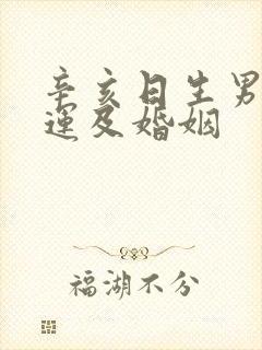 辛亥日生男的命运及婚姻