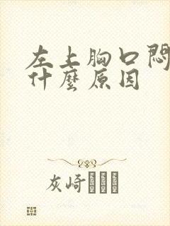 左上胸口闷堵是什么原因