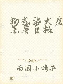 狗感染犬瘟病毒怎么自救