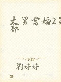 大男当婚2第二部