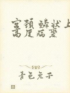 宫颈 鳞状上皮高度病变