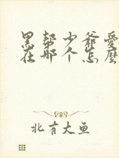 黑帮少爷爱上我在哪个怎么看