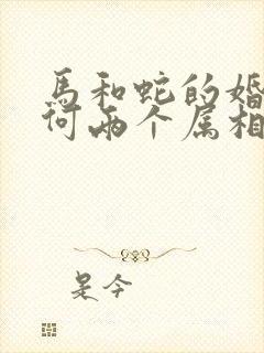 马和蛇的婚姻如何两个属相怎么样