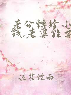 老公转给小三的钱,老婆能要回吗