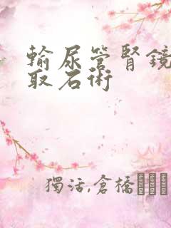 输尿管肾镜碎石取石术