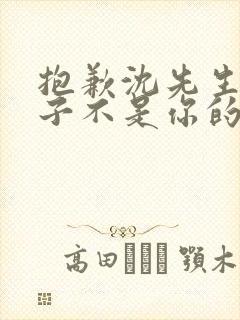 抱歉沈先生,孩子不是你的短剧合集