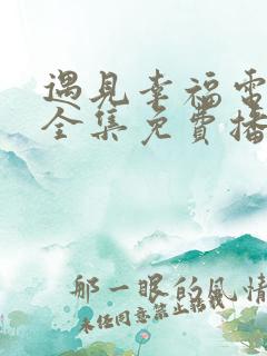 遇见幸福电视剧全集免费播放