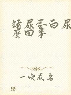 猪尿蛋白尿是怎么回事