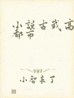 小说古武高手在都市