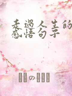 走过人生的风雨感悟句子