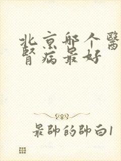 北京哪个医院看肾病最好