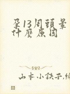 孕13周头晕是什么原因