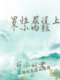 男性尿道上长了个小肉粒