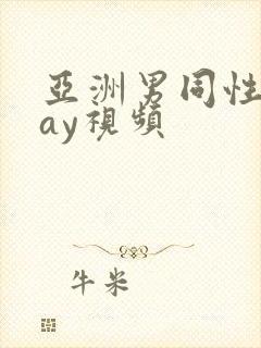 亚洲男同性恋gay视频