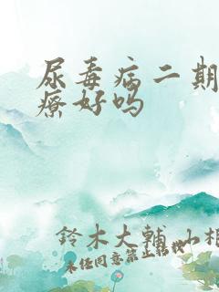 尿毒病二期能治疗好吗