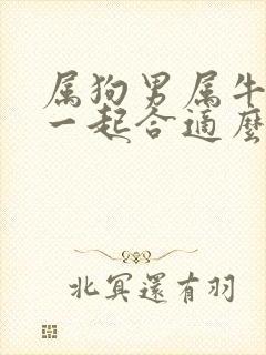 属狗男属牛女在一起合适么